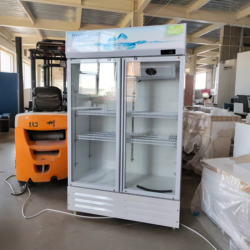 Double-door vertical commercial refrigeration cabinet with glass door, beverage preservation display cabinet, highly efficient refrigeration