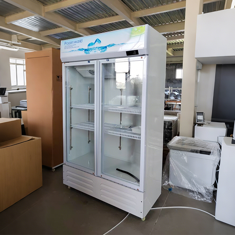Double-door glass display refrigerated cabinet commercial large-capacity vertical preservation equipment