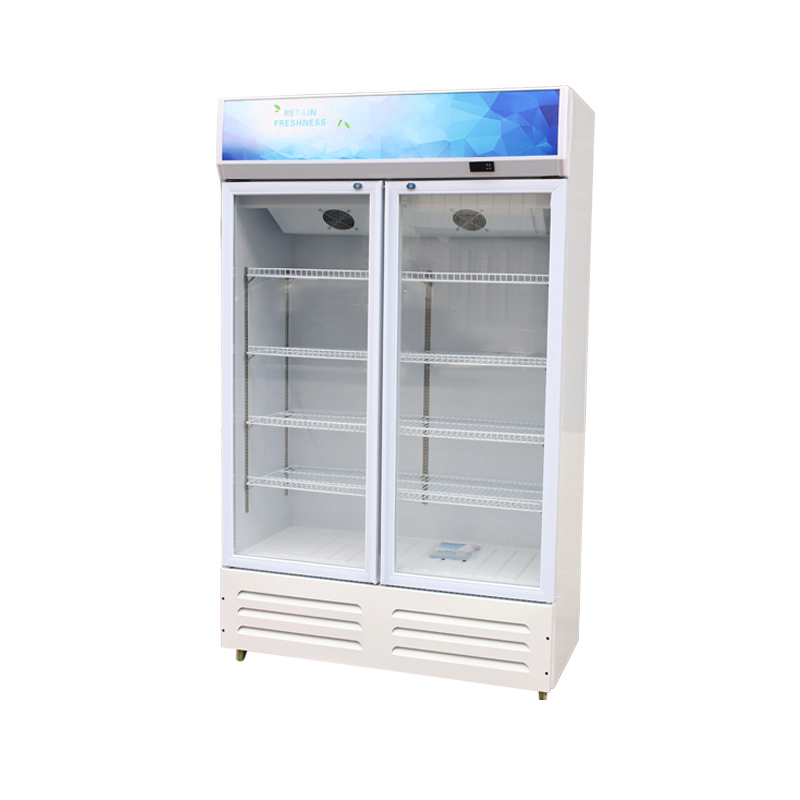 Double-door display refrigeration cabinet, commercial large-capacity beverage and food preservation cabinet
